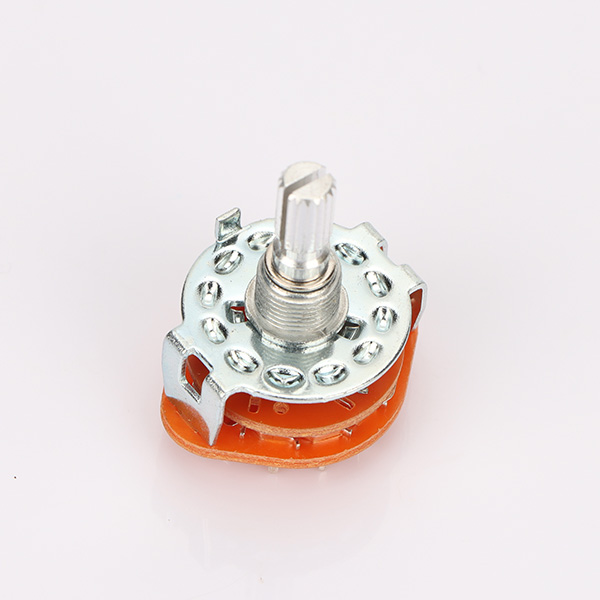 RS251V