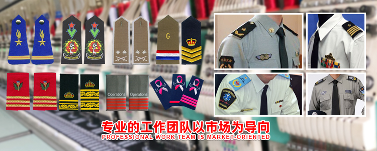 专业的工作团队以市场为导向