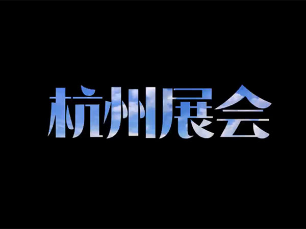杭州人形机器人会议现...