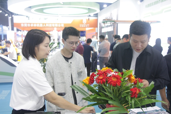 公司展会