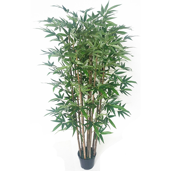 0426-6尺金竹【行情 报价 价格 评测】-企讯网