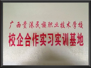 广西贵港民族职业技术...
