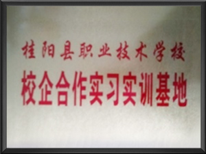 桂阳县职业技术学校