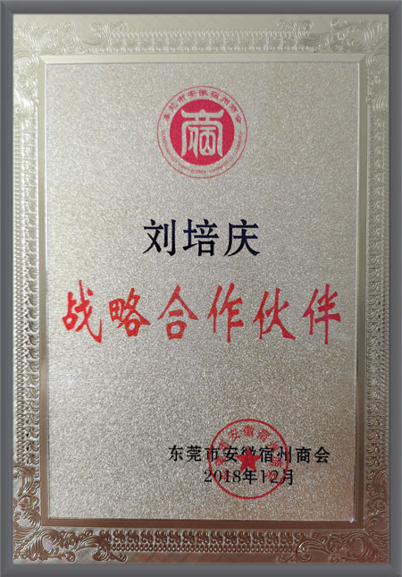 战略合作伙伴