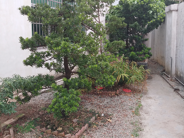 公司面貌三