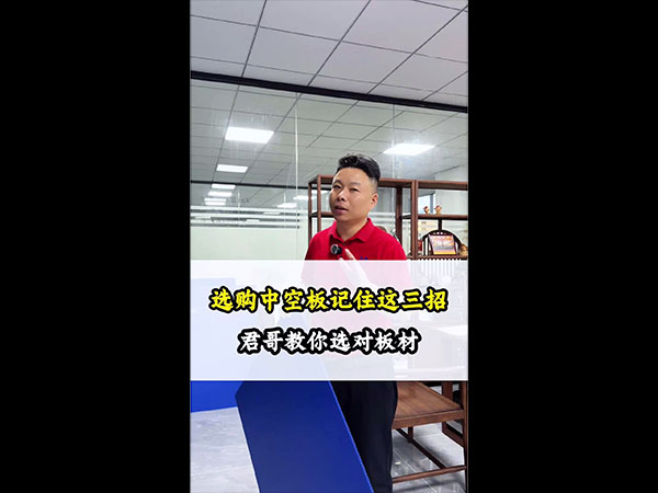 视频展示