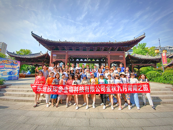 团建