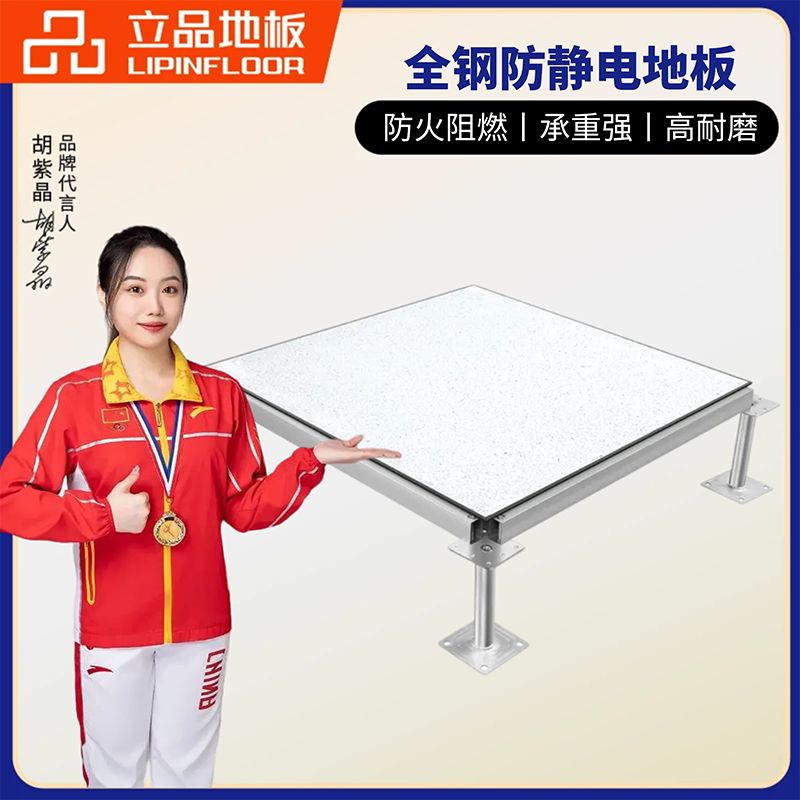 全钢防静电PVC