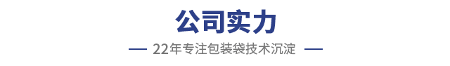 公司实力