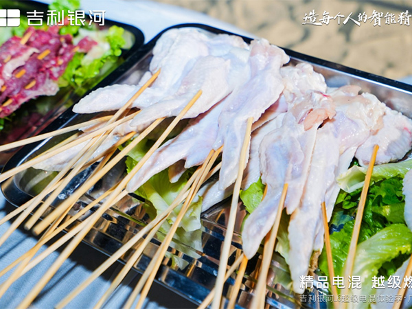 吉利银河L6超级电混...