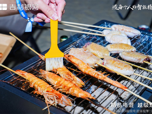 吉利银河L6超级电混...