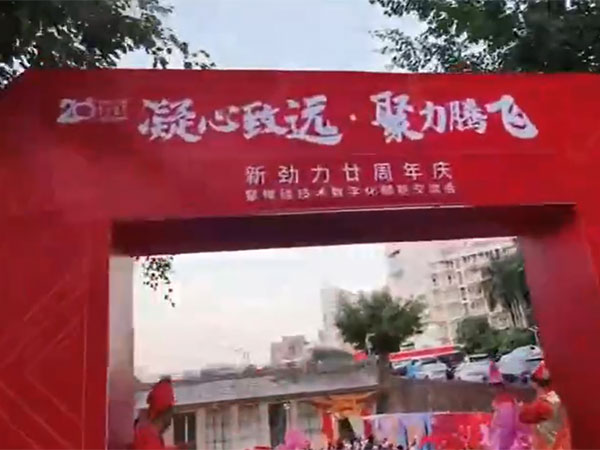 视频展示