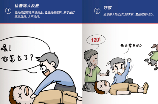 可以在哪里学习专业的...