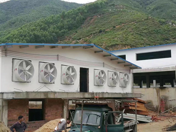 畜牧养殖厂通风降温