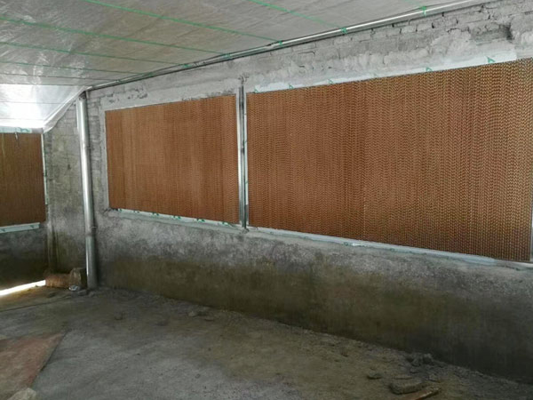 养殖厂通风降温工程案例