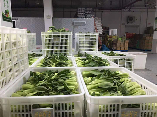 其他蔬菜制品价格-其他蔬菜制品批发-其他蔬菜制品厂家_企讯网