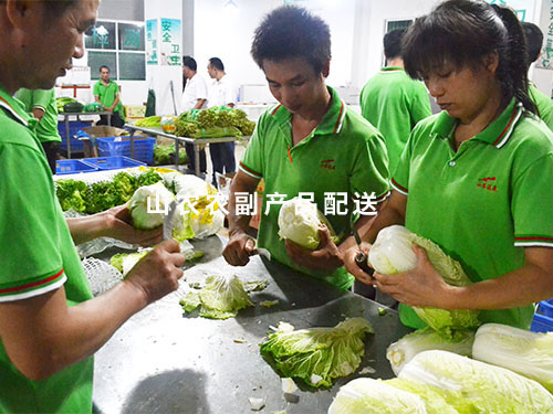 分拣挑选