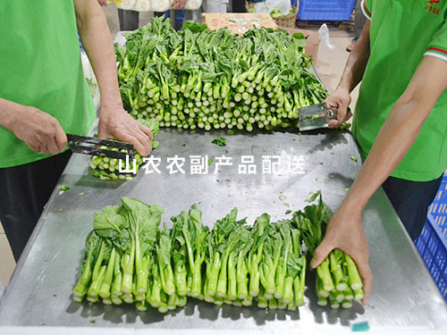 切梗
