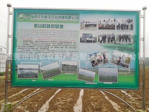 广西种植基地