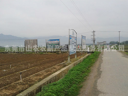 广西蔬菜种植基地
