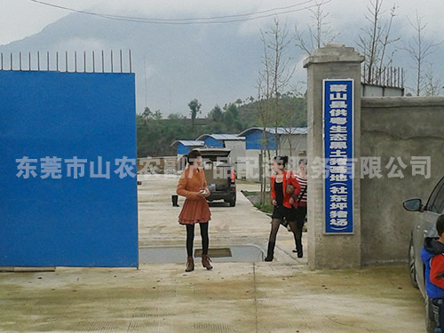 社东坪猪场