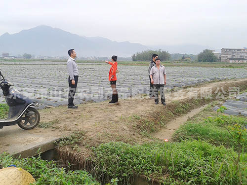 蔬菜基地