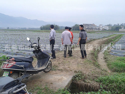 蔬菜基地