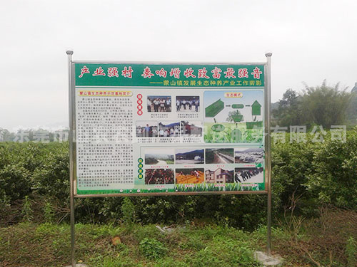 蔬菜基地