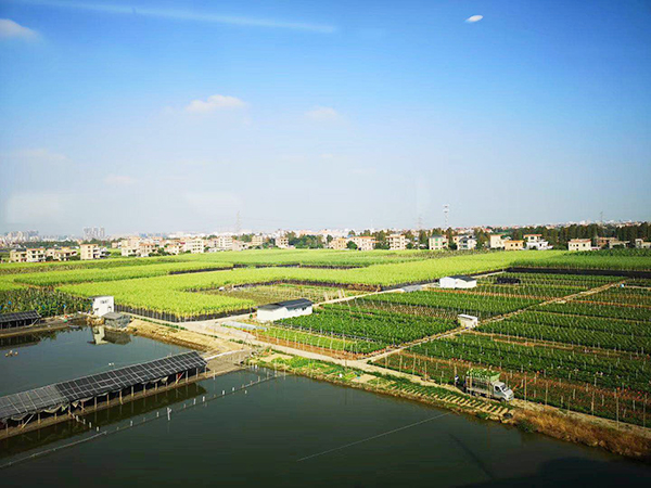 种植基地