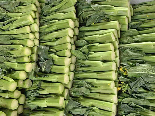 菜心