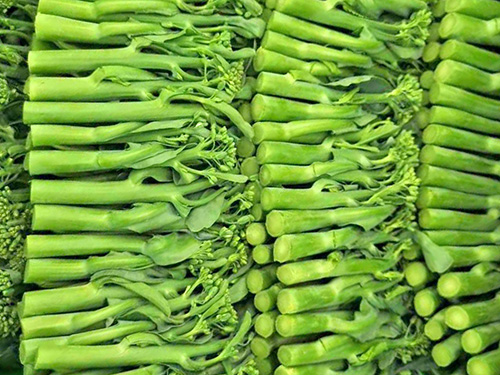 菜心