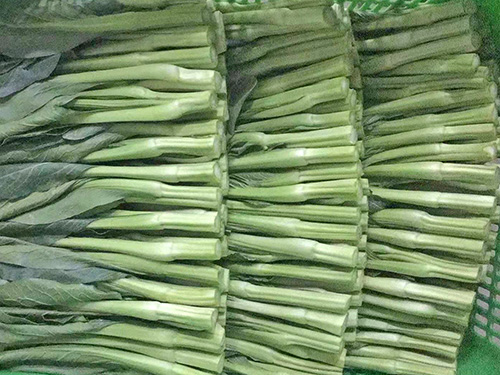 菜心
