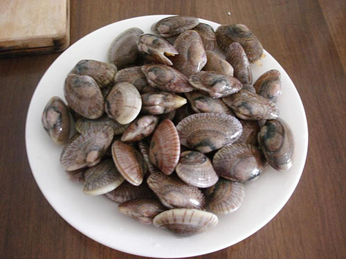 配送食材公司