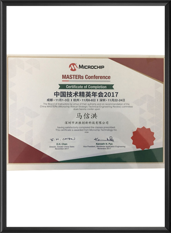 MICROCHIP精...