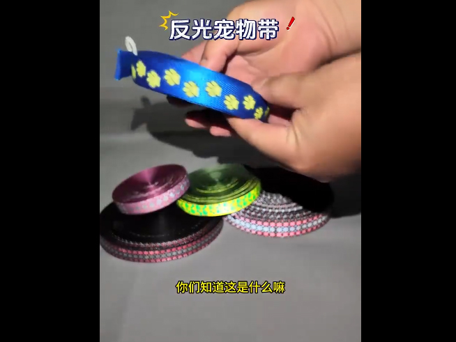 反光宠物带