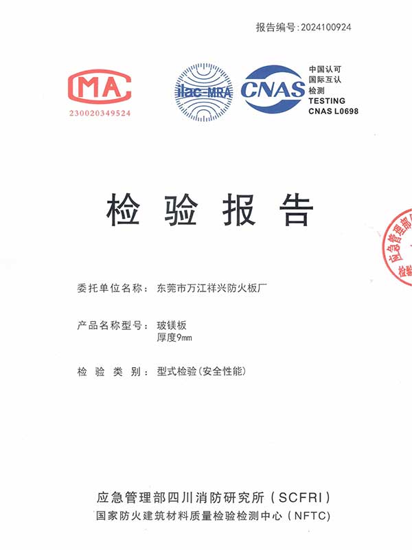 2024年金特镁9m...