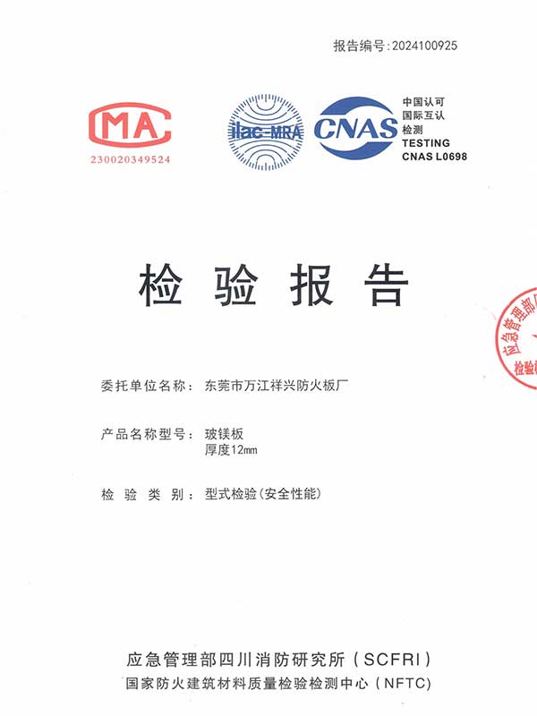 2024年金特镁12...
