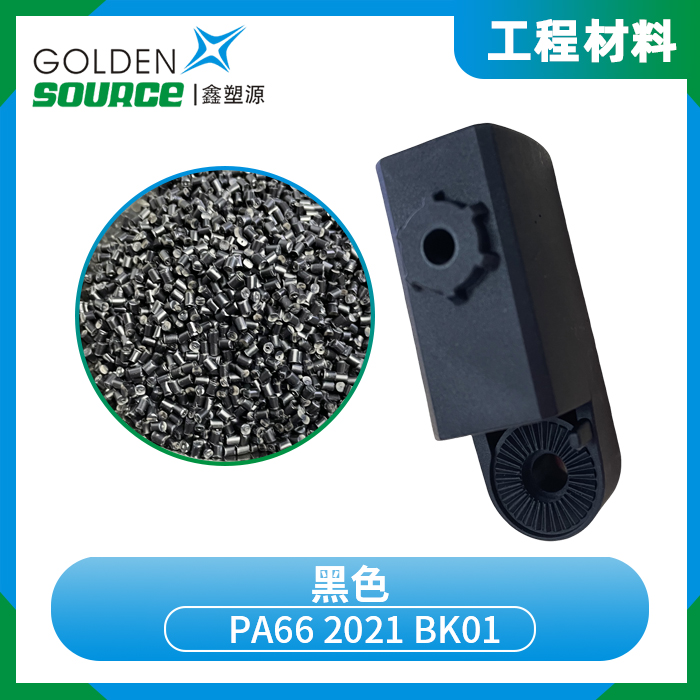 PA66 2021 ...