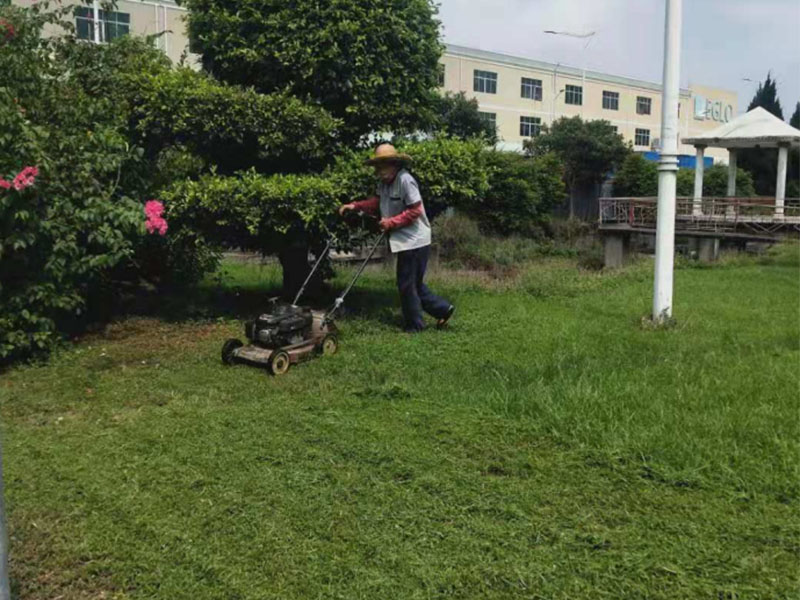 绿化养护服务