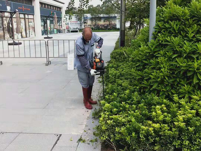 绿化养护服务
