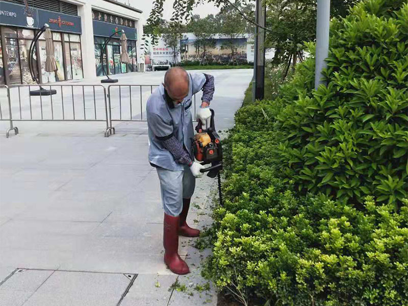 绿化养护服务