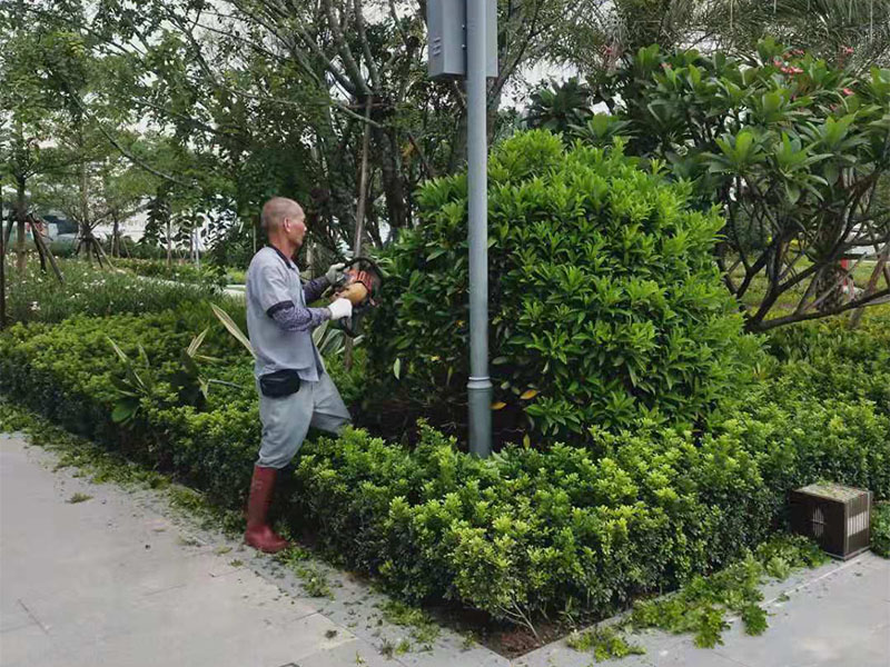 绿化养护